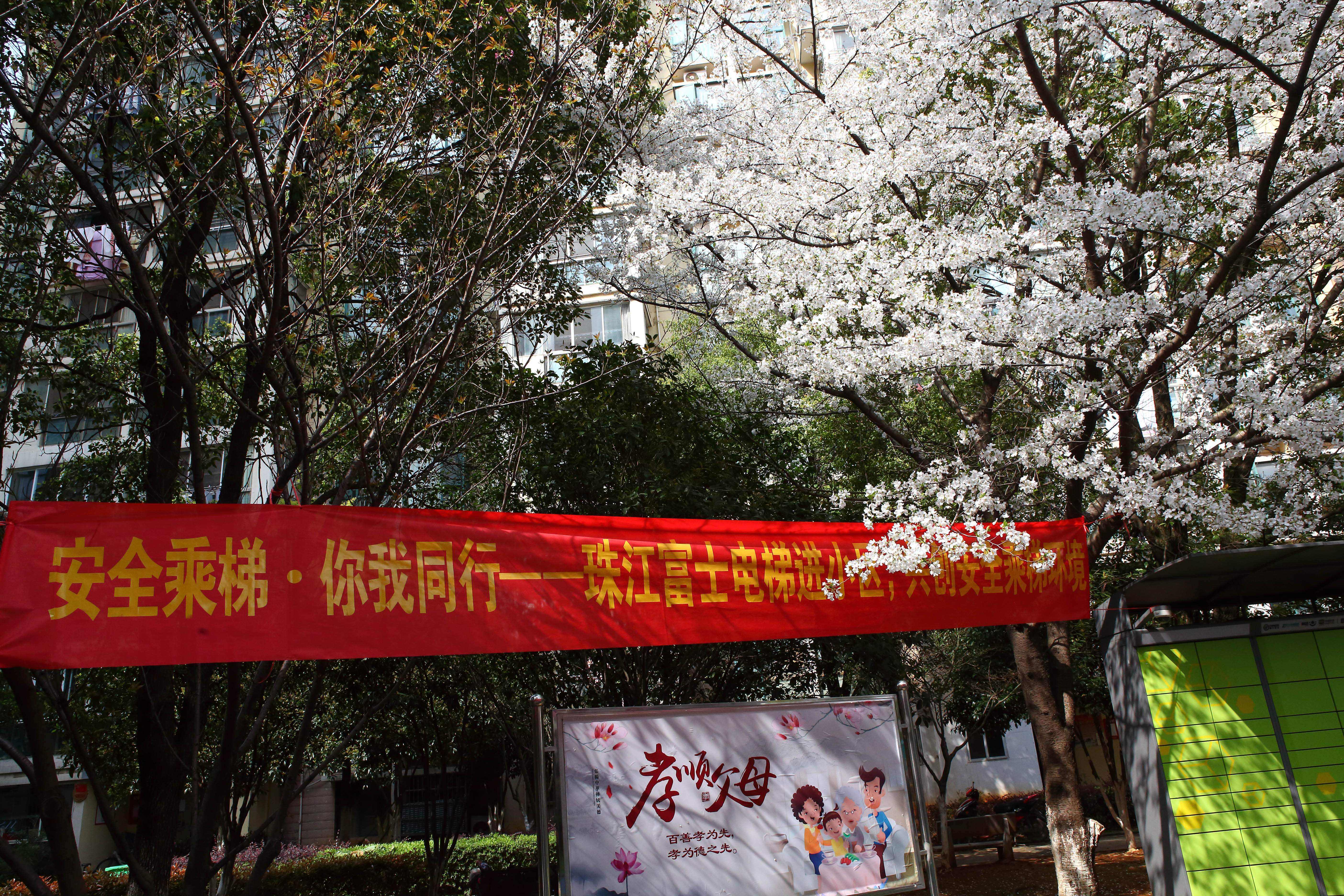 安全用梯你我同行03.JPG 安全用梯你我同行03.JPG